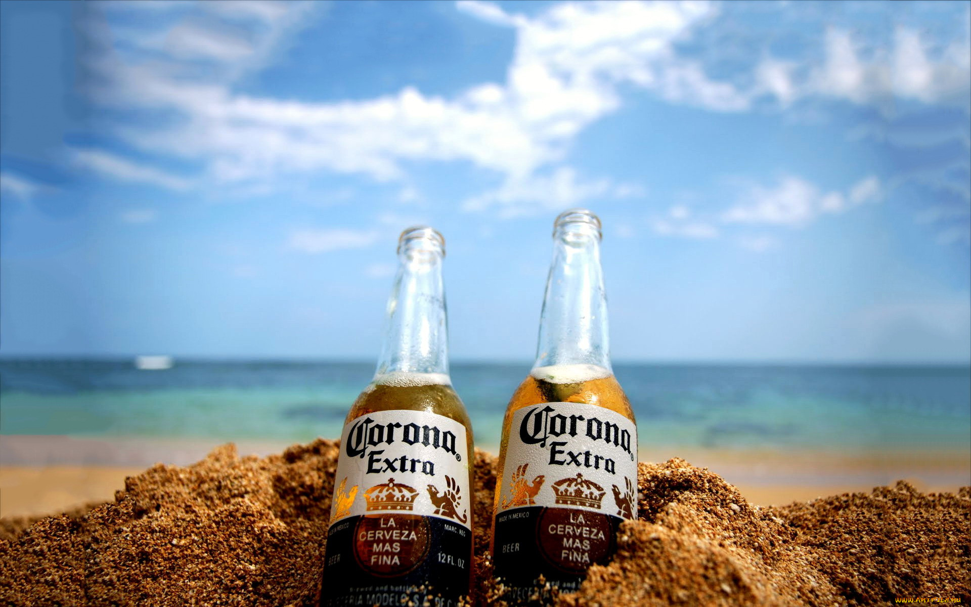 Corona Extra пиво